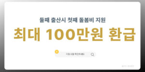 2026년 서울시 둘째 출산 시 첫째 아이 돌봄 지원금 100만 원 환급 혜택 안내