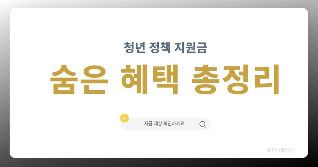 2030 청년 정책 지원금 숨은 혜택 총정리 대표 이미지