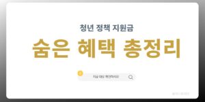 2030 청년 정책 지원금 숨은 혜택 총정리 대표 이미지